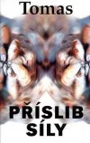 Příslib síly