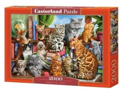 Castorland Puzzle