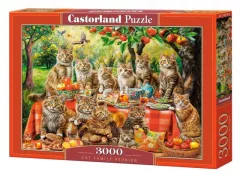 Castorland Puzzle Cat Family Reunion 3000 dílků