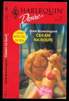 Čekání na bouři