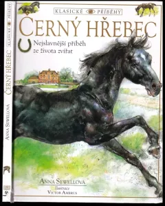 Černý hřebec
