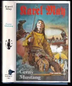Černý mustang