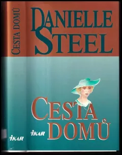 Cesta domů