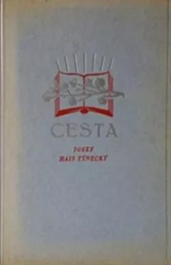 Cesta: (Kronika mládí). První díl