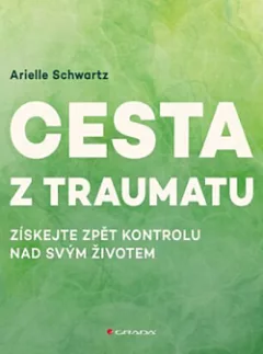 Cesta z traumatu