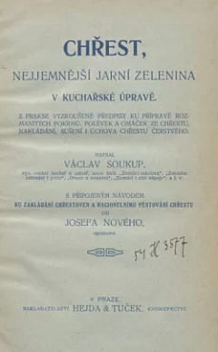 Chřest, nejjemnější jarní zelenina v kuchyňské úpravě