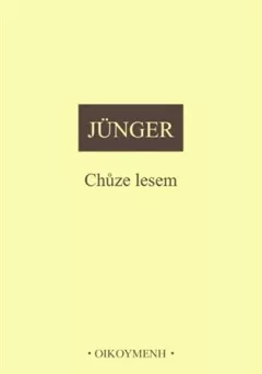 Chůze lesem