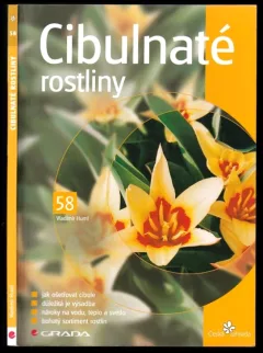 Cibulnaté rostliny