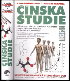 Čínská studie