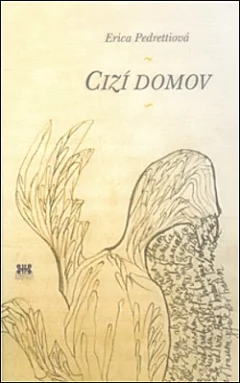 Cizí domov
