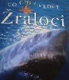 Co chci vědět: Žraloci