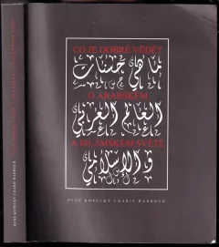 Co je dobré vědět o arabském a islámském světě