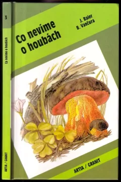 Co nevíme o houbách