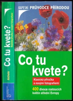Co tu kvete?