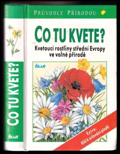 Co tu kvete?
