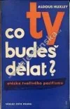 Co ty budeš dělat?