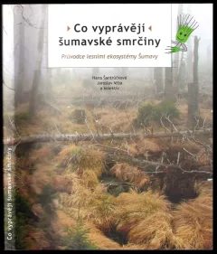 Co vyprávějí šumavské smrčiny