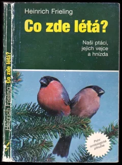 Co zde létá?