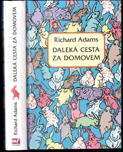 Daleká cesta za domovem