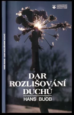 Dar rozlišování duchů