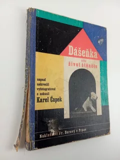 Dášeňka, čili, Život štěněte