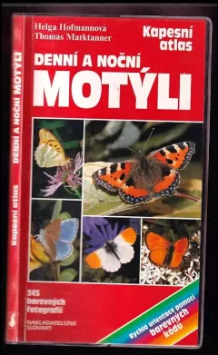 Denní a noční motýli