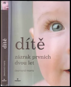 Dítě