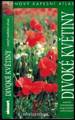Divoké květiny