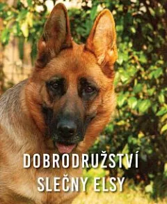 Dobrodružství slečny Elsy