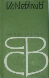Dohlédnutí