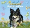 Domácí zvířata