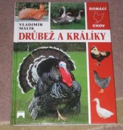 Drůbež a králíky