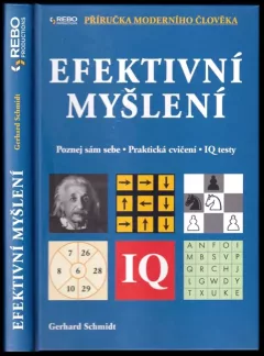 Efektivní myšlení