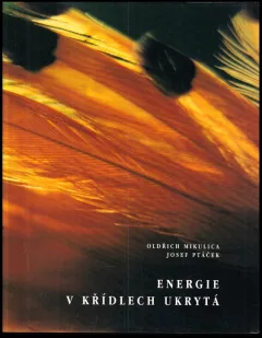 Energie v křídlech ukrytá