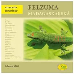 Felzuma madagaskarská