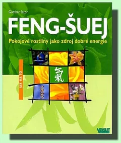 Feng-šuej