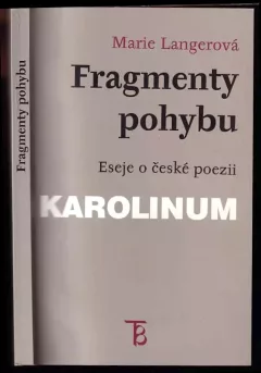 Fragmenty pohybu : eseje o české poezii
