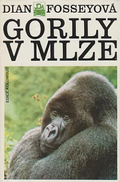 Gorily v mlze