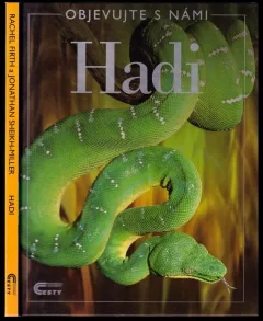 Hadi