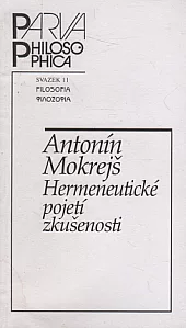 Hermeneutické pojetí zkušenosti
