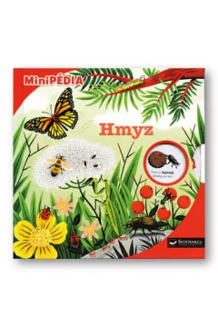 Hmyz