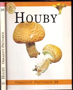 Houby