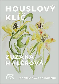 Houslový klíč