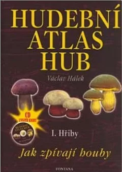 Hudební atlas hub - I. Hřiby: Jak zpívají houby
