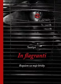 In flagranti - requiem za moje hříchy