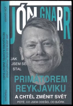 Jak jsem se stal primátorem Reykjaviku a chtěl změnit svět