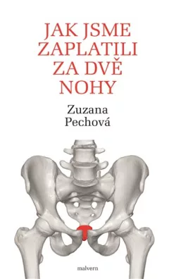 Jak jsme zaplatili za dvě nohy - Rozhovory s lékaři, fyzioterapeuty a biology o lidském těle, hlavně o kostrči a svalstvu pánevního dna