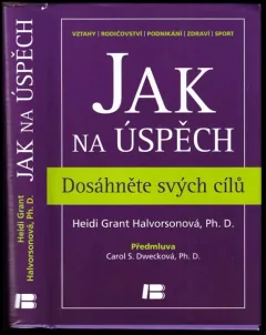 Jak na úspěch