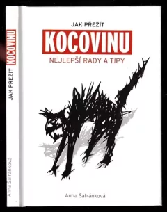 Jak přežít kocovinu