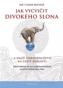 Jak vycvičit divokého slona... a další dobrodružství na cestě bdělosti